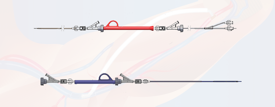 Illustration of of InterGraft system